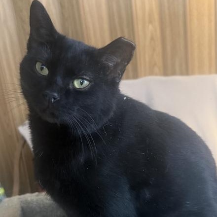 Sara & Sheila — thumbnail 3