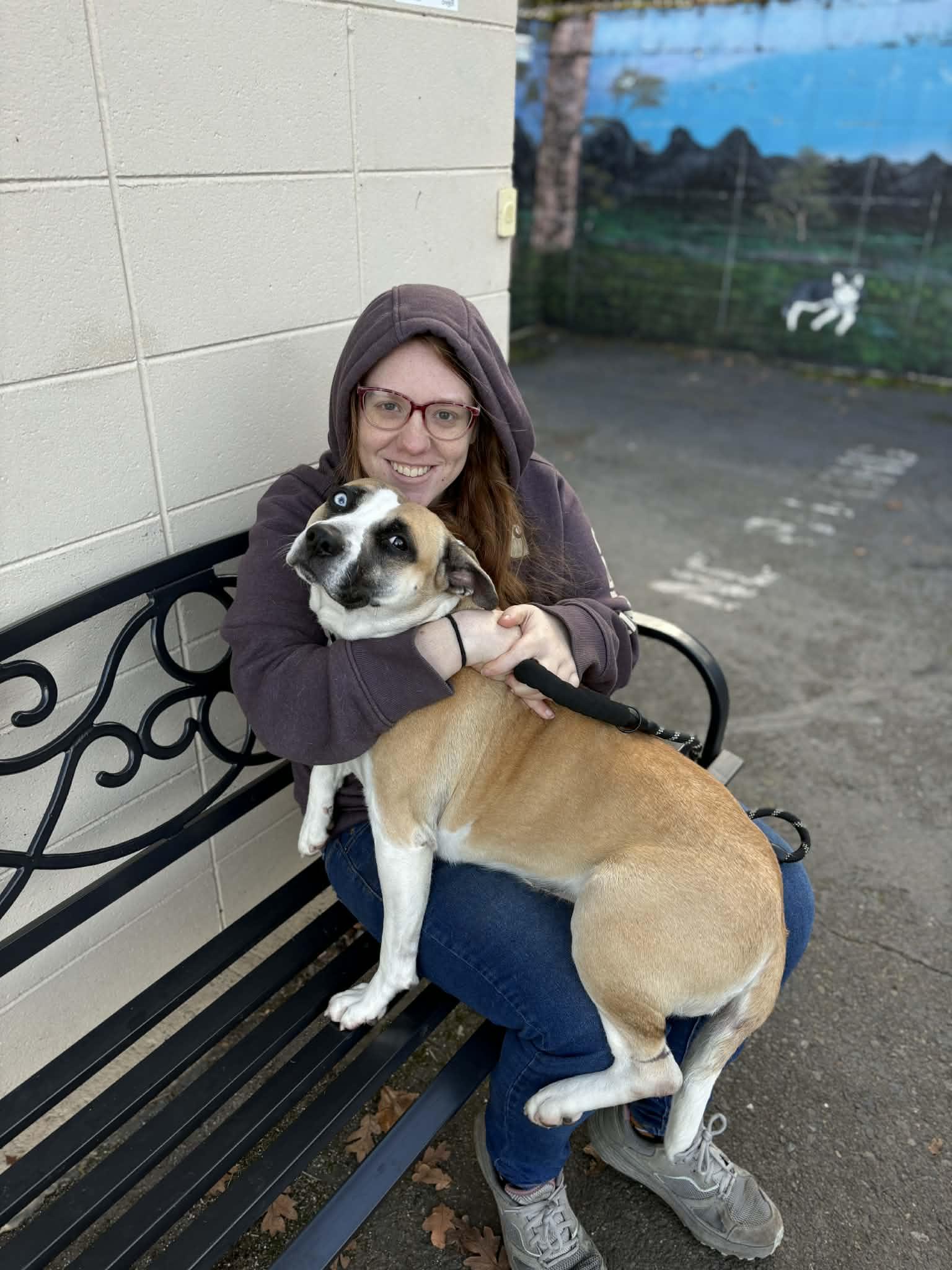 Enlarge Butter Beans, an adoptable mixed breed in Grants Pass, OR image 5/6