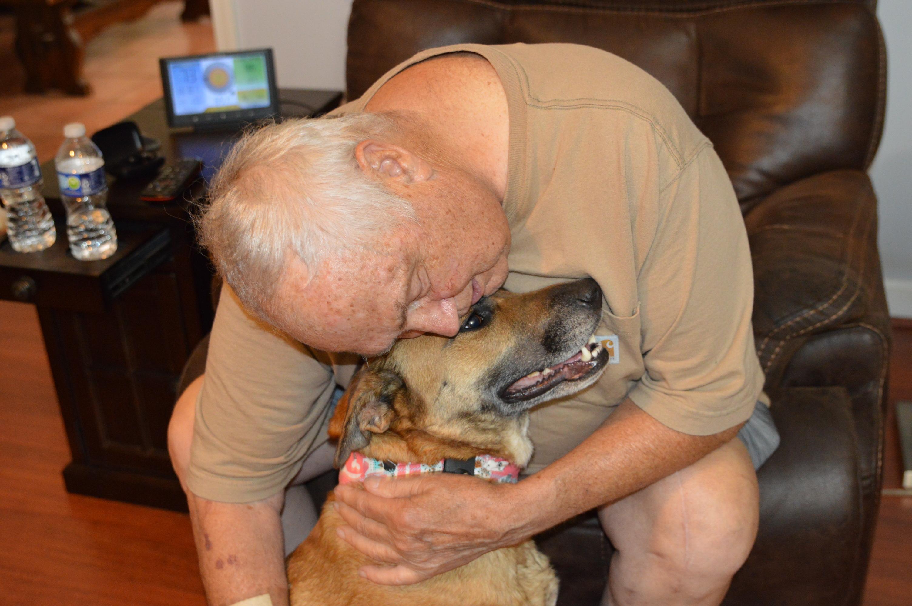 Venus crate & potty trained, a Adoptable mixed breed in Concord, NH image 6/6