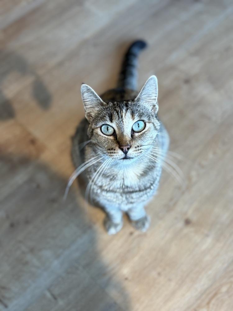 Jessica — thumbnail 2