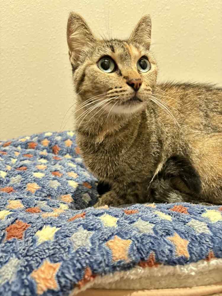 Jessica — thumbnail 3