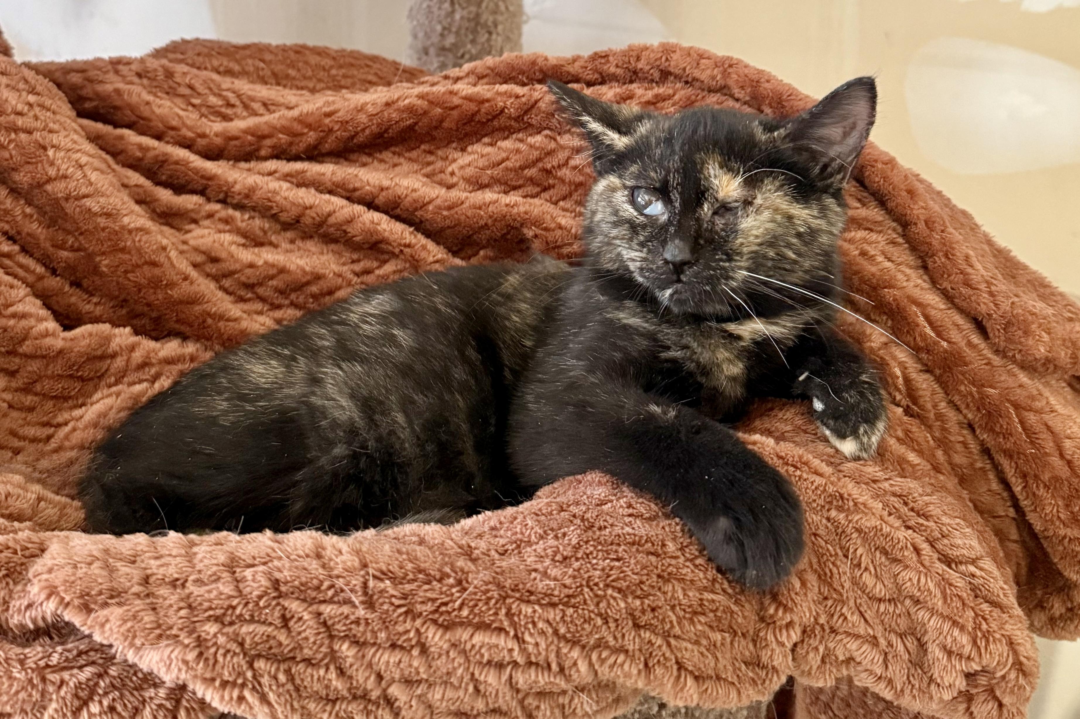 Charlotte thumbnail 2