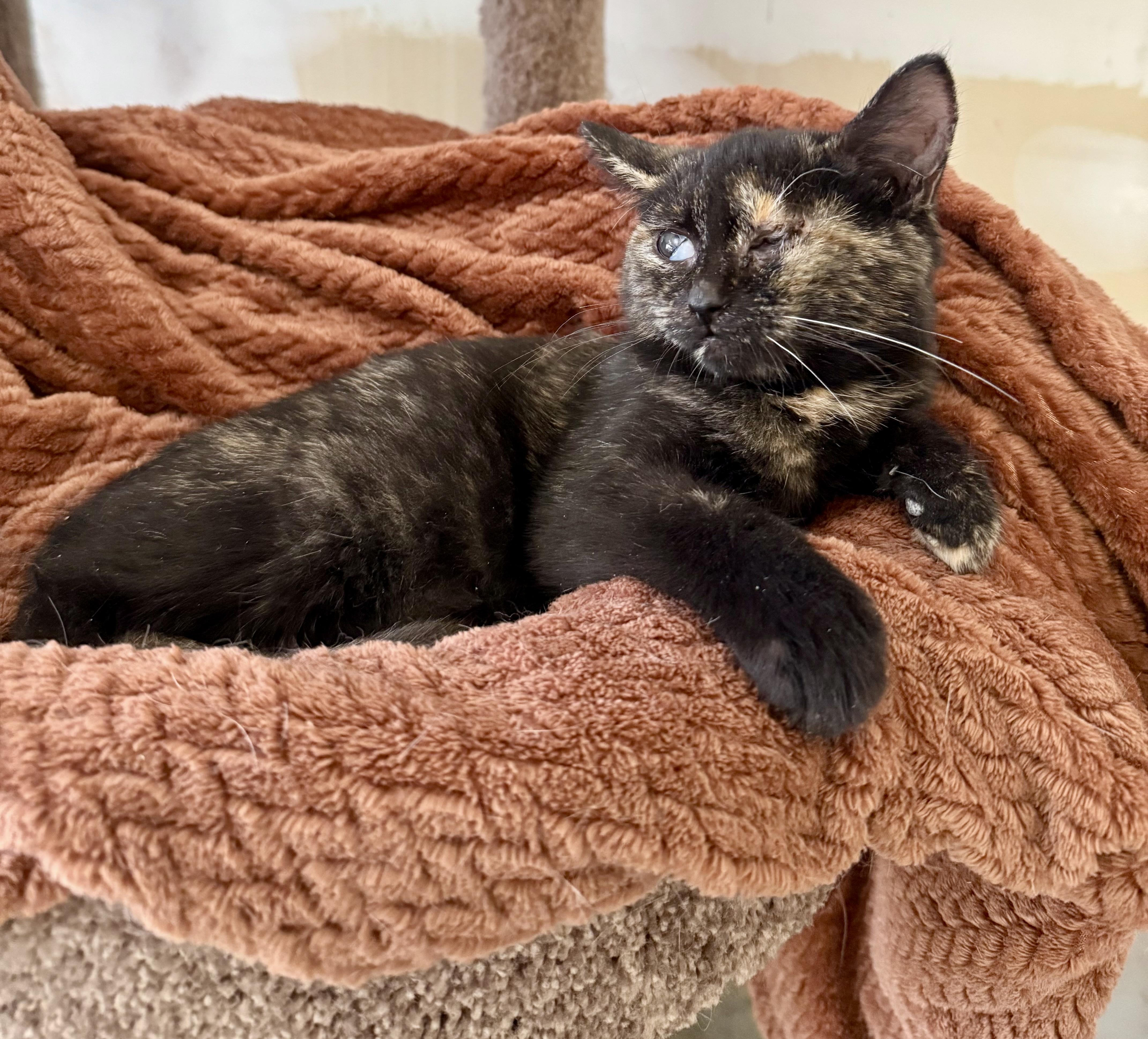 Charlotte thumbnail 3