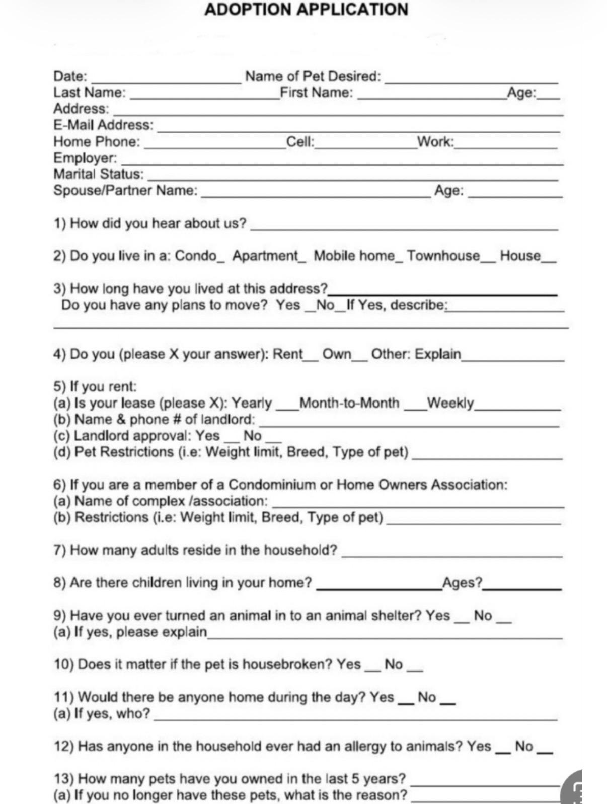 Enlarge Cole, a ADOPTABLE mixed breed in Morristown, TN image 3/3