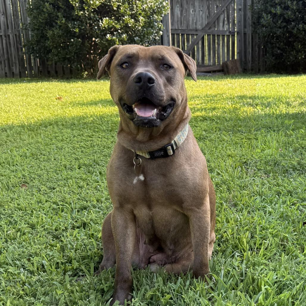 Miss Lily A thumbnail 2