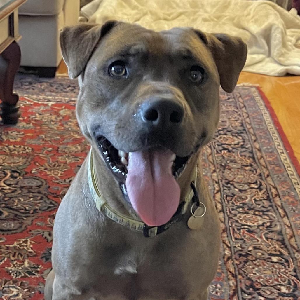 Miss Lily A thumbnail 6