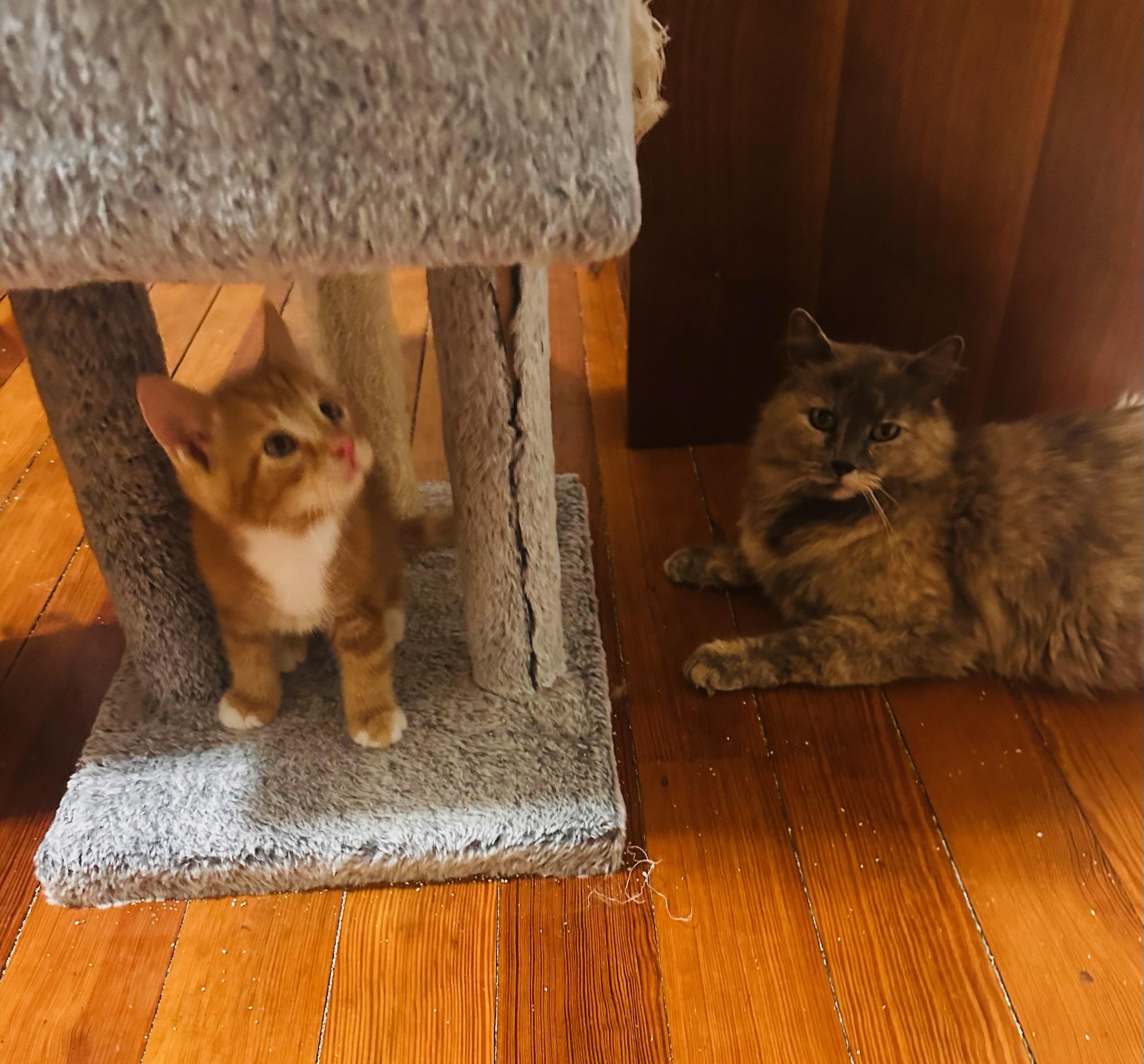 Anna & Sunny photo 2
