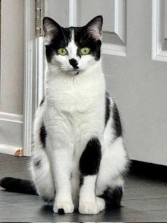 Misha — thumbnail 2