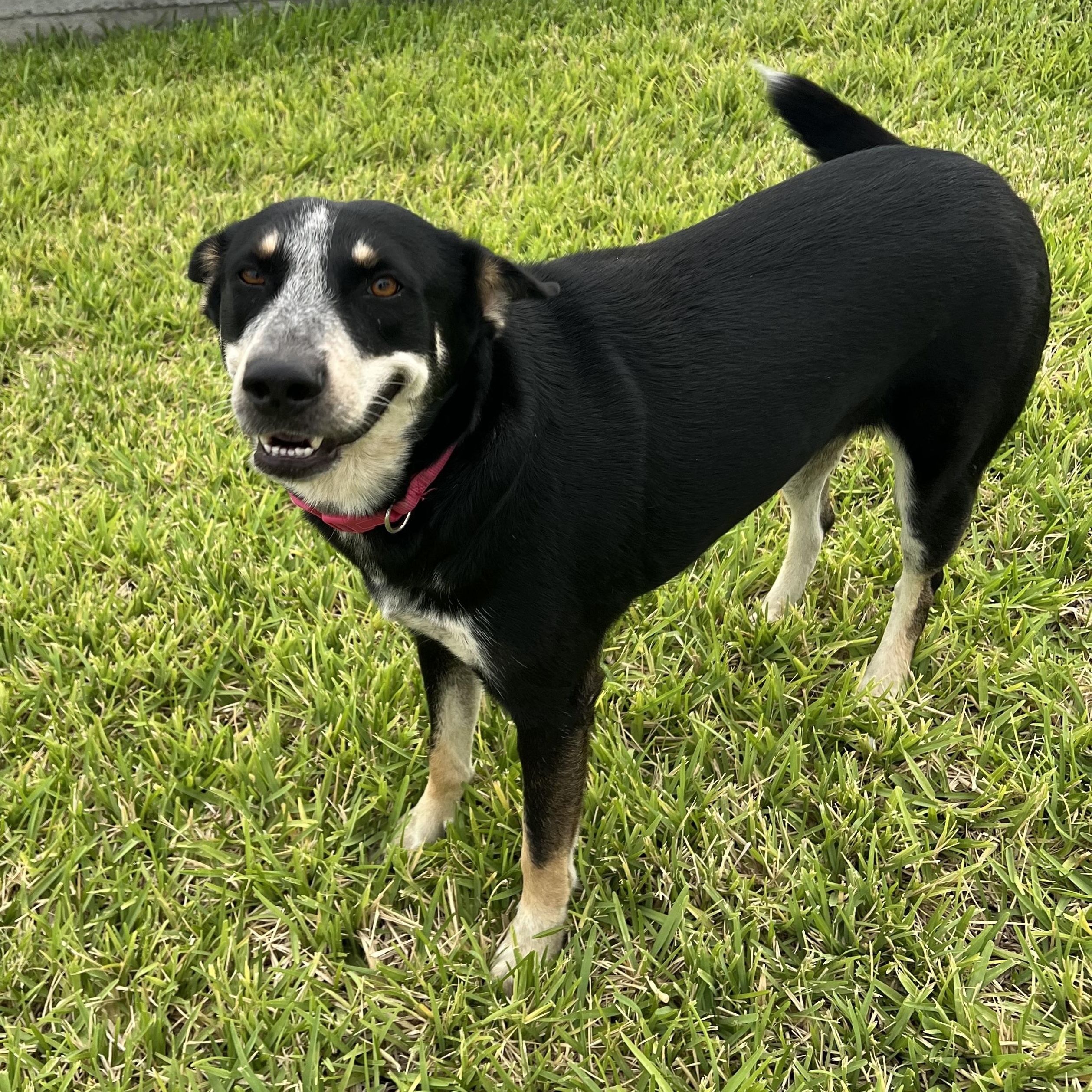 Lilly photo 2