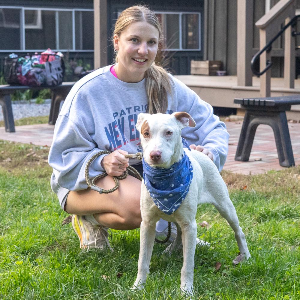 Enlarge Spot (Male) Avail 10/24, a Adoptable mixed breed in West Grove, PA image 5/6