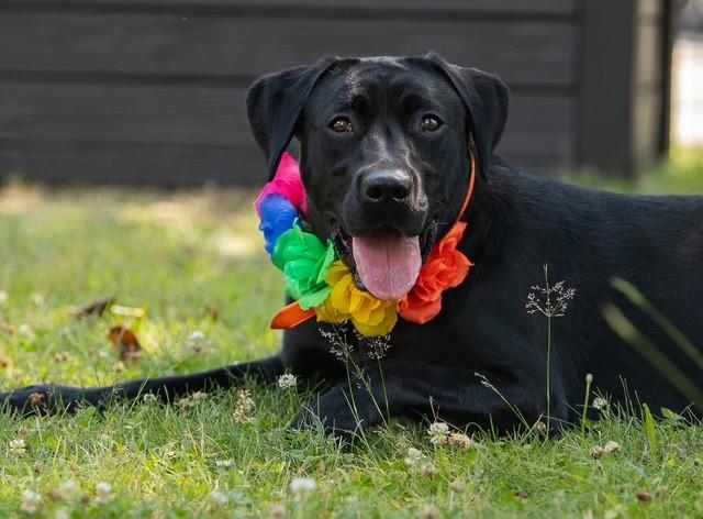 Sadie 3