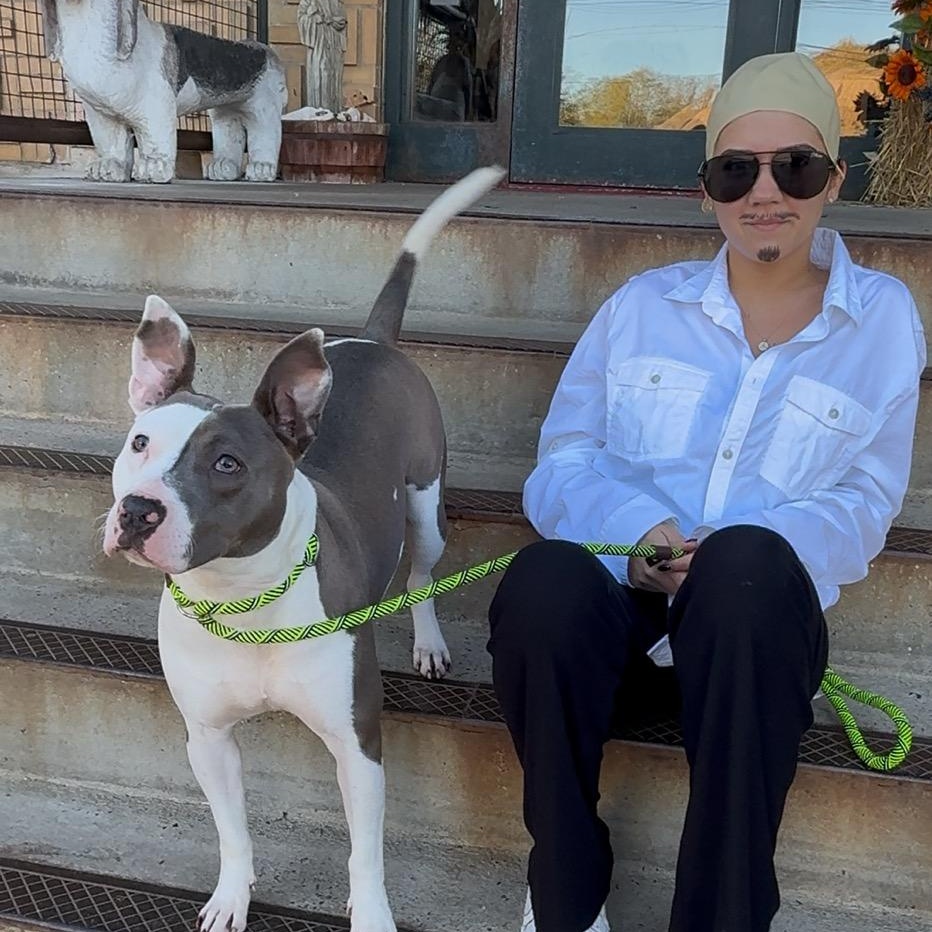 Mr. Worldwide thumbnail 5