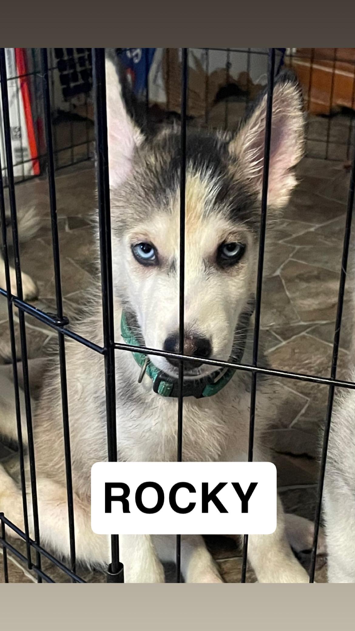 Rocky