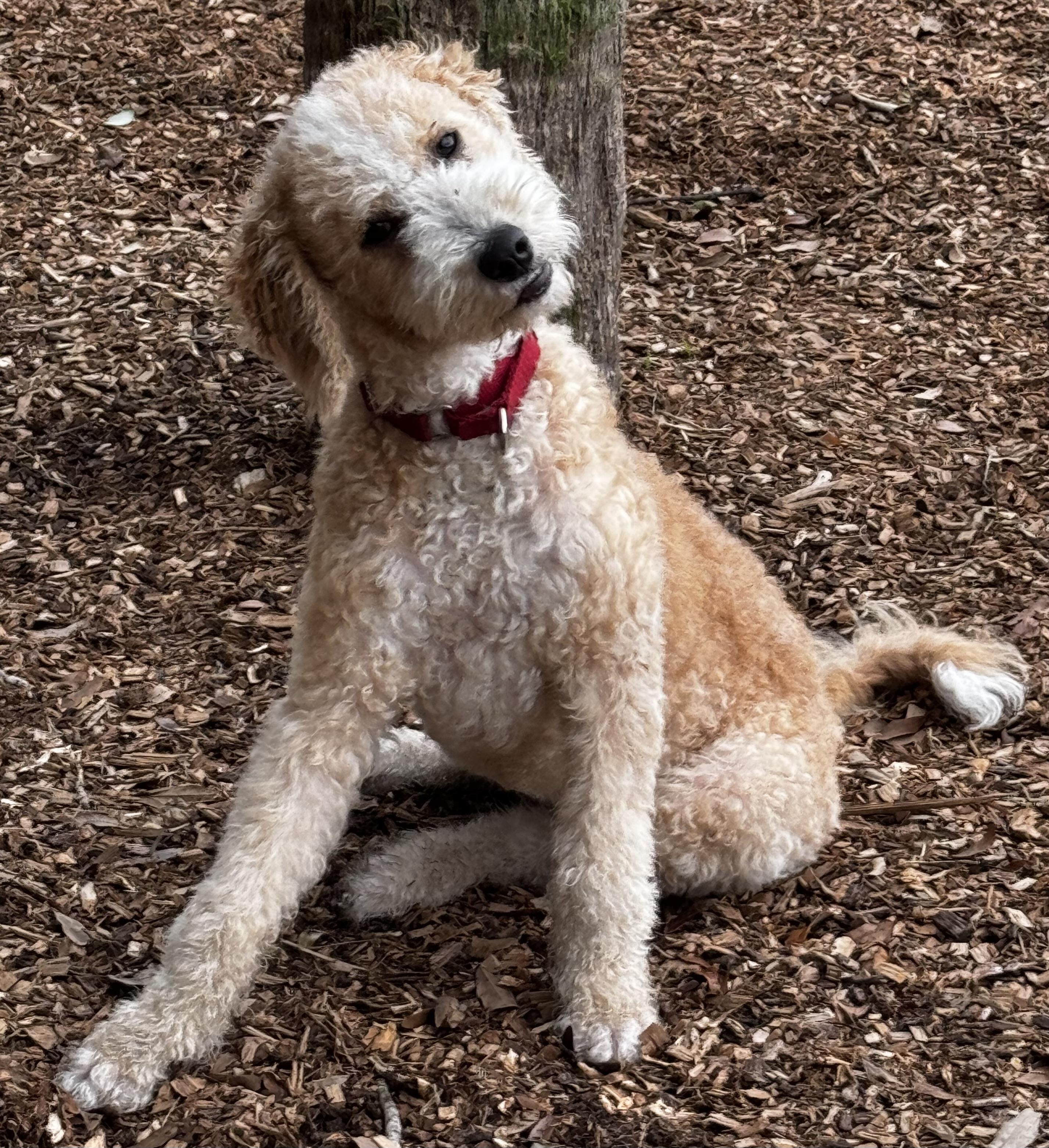 Cheek to Cheek with Ella