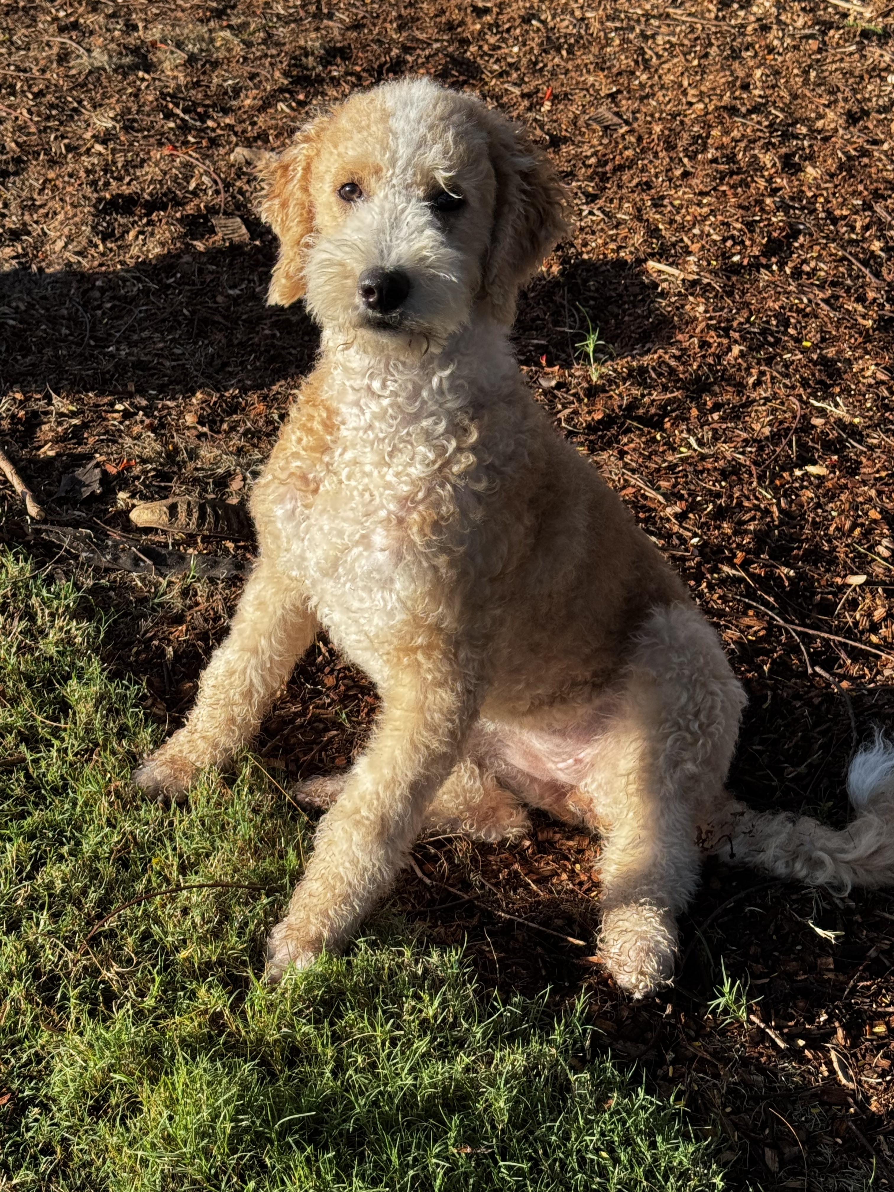 Cheek to Cheek with Ella