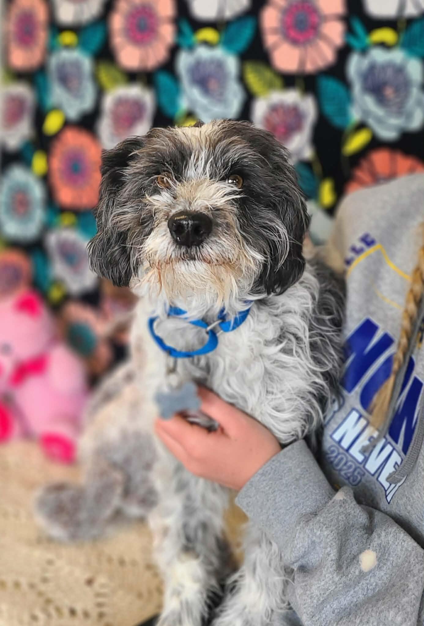 Young Gandalf — thumbnail 2