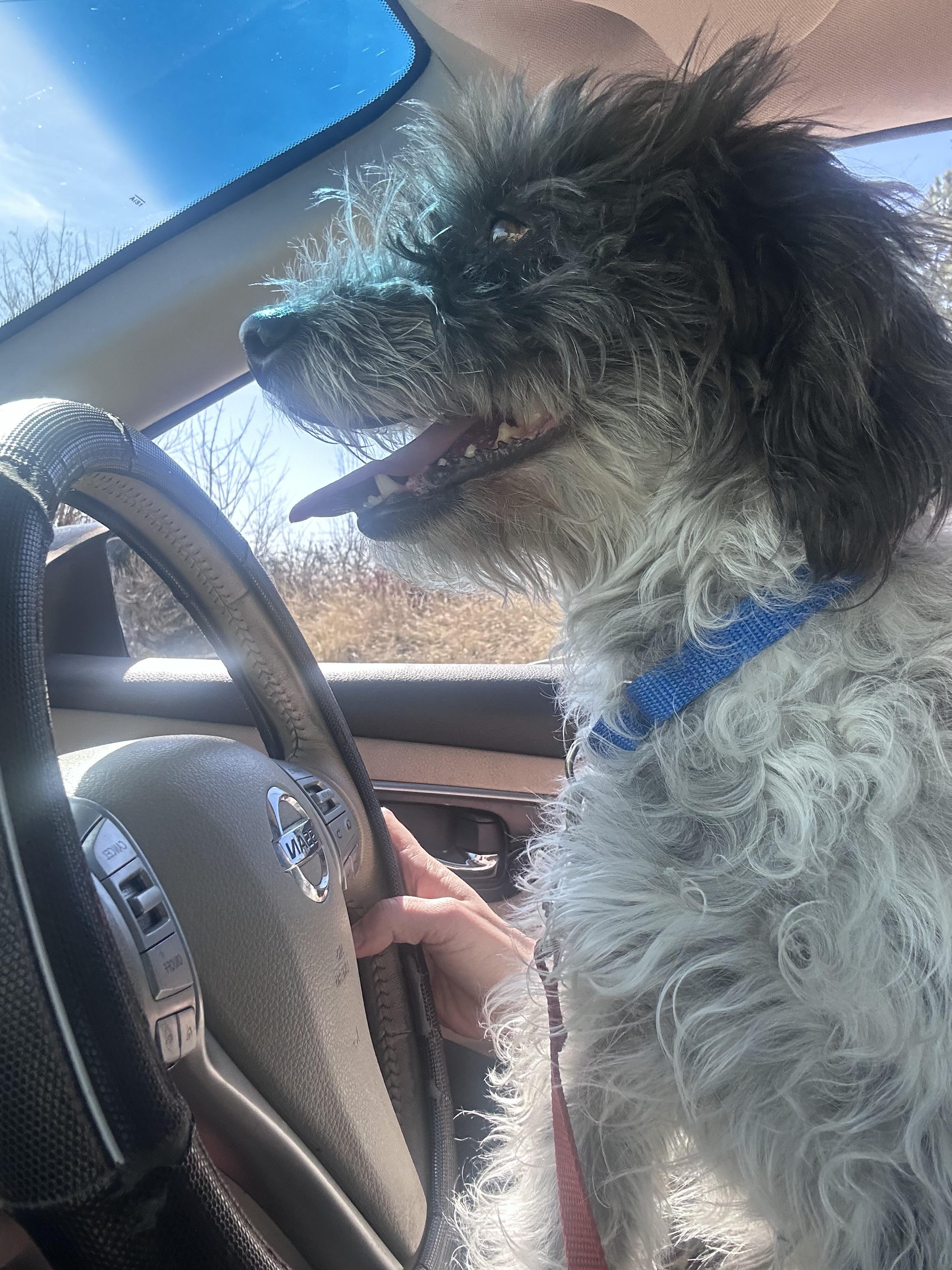 Young Gandalf — thumbnail 3