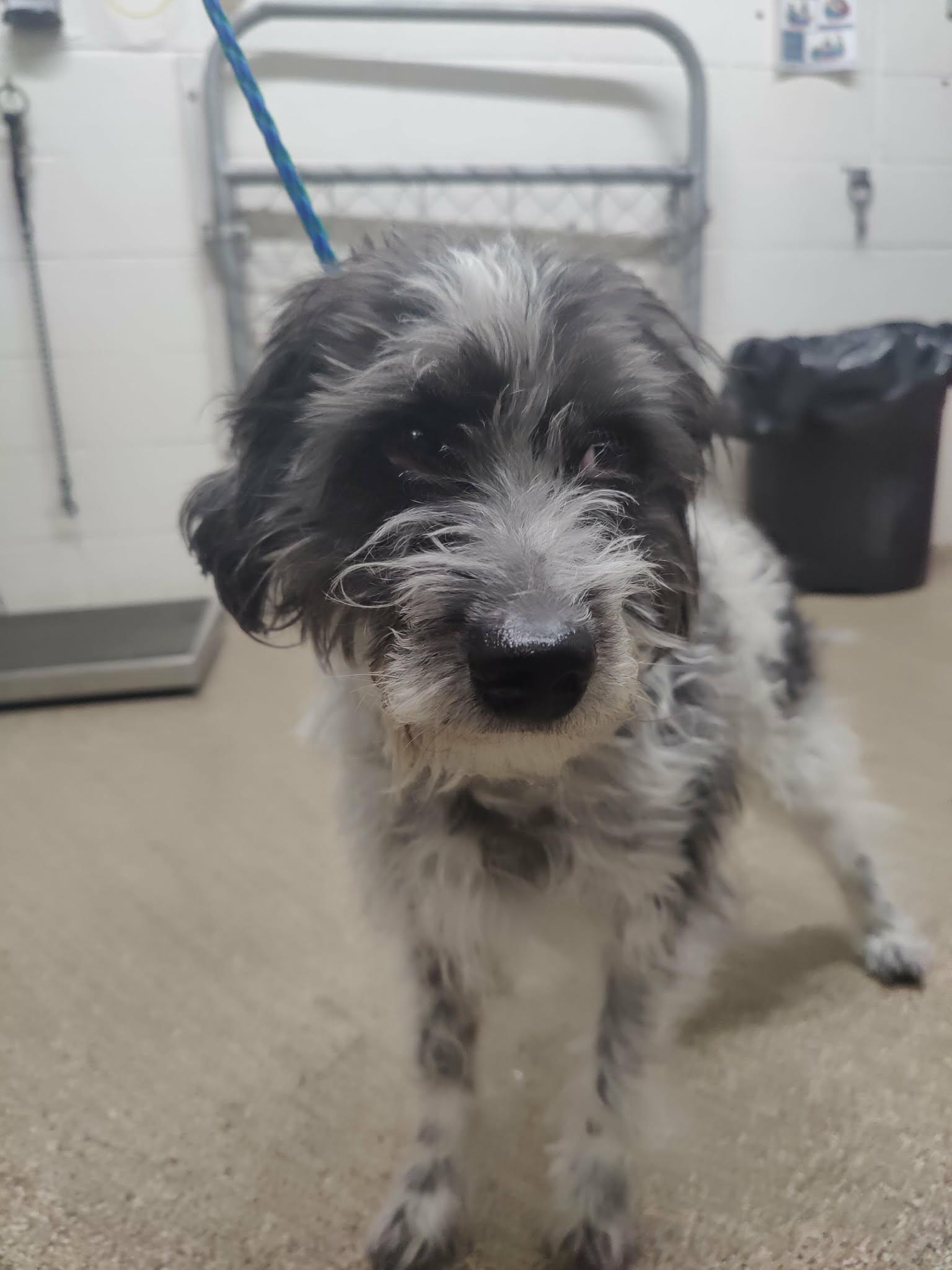 Young Gandalf — thumbnail 5