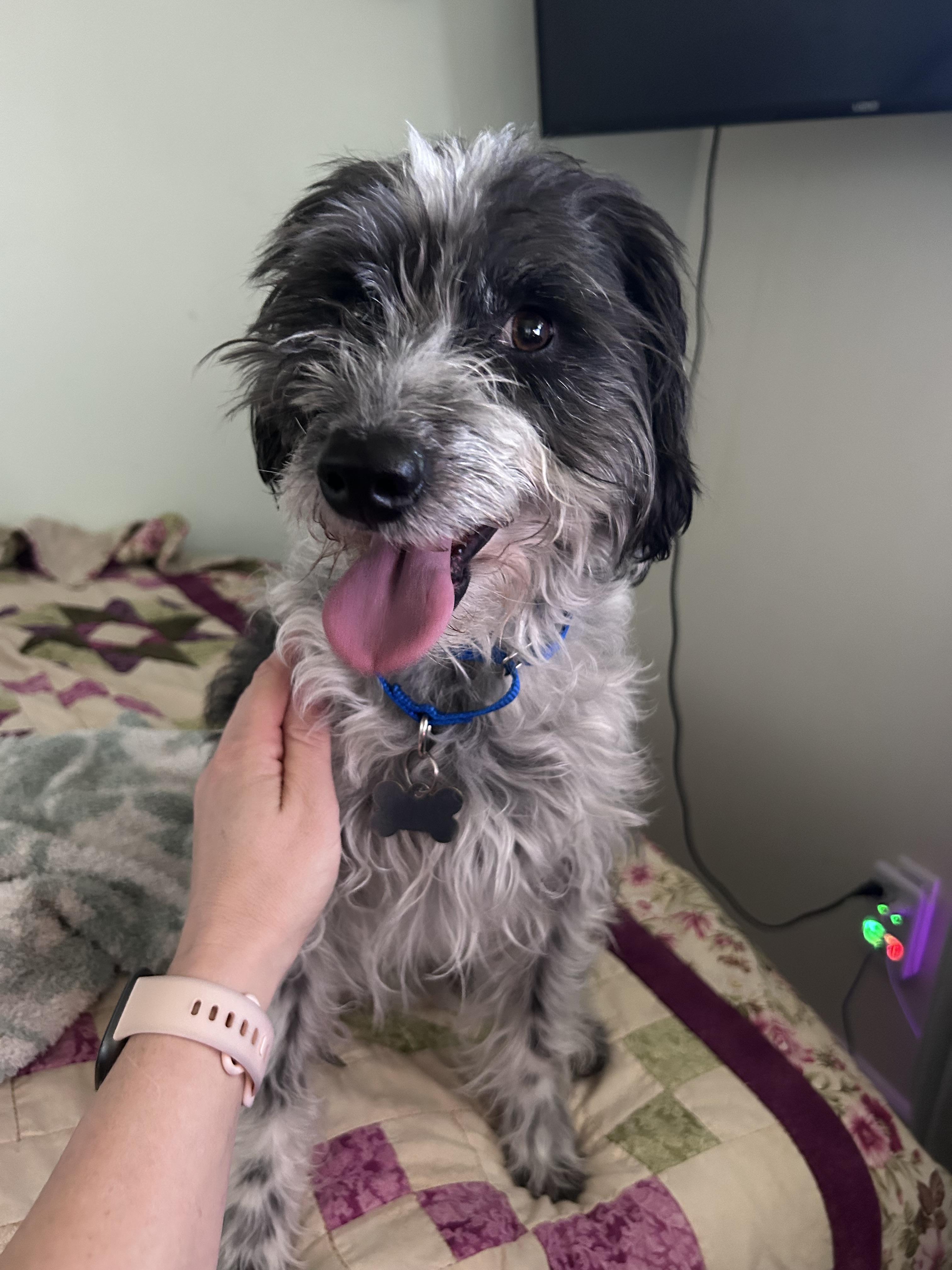 Young Gandalf — thumbnail 6