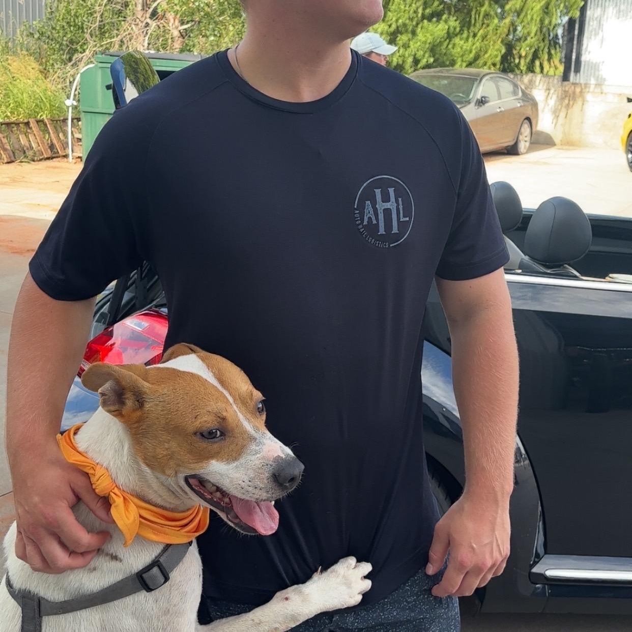 Lucky, a Adoptable mixed breed in Bedminster, NJ image 3/6