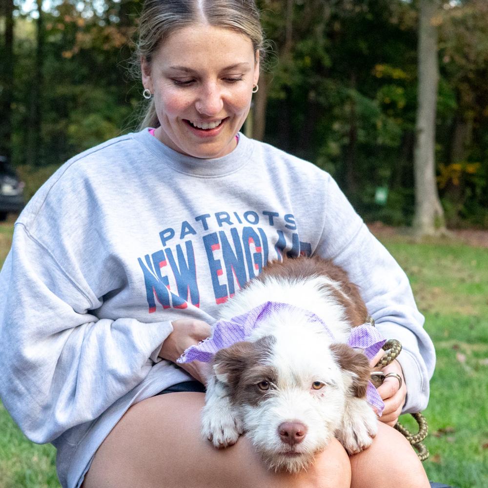 Enlarge Brownie (Female) Avail 10/24, a Adoptable mixed breed in West Grove, PA image 6/6