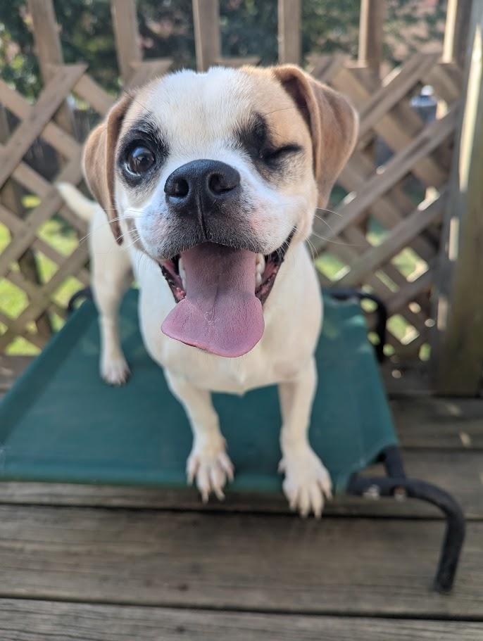 Jeannie *COURTESY POST*