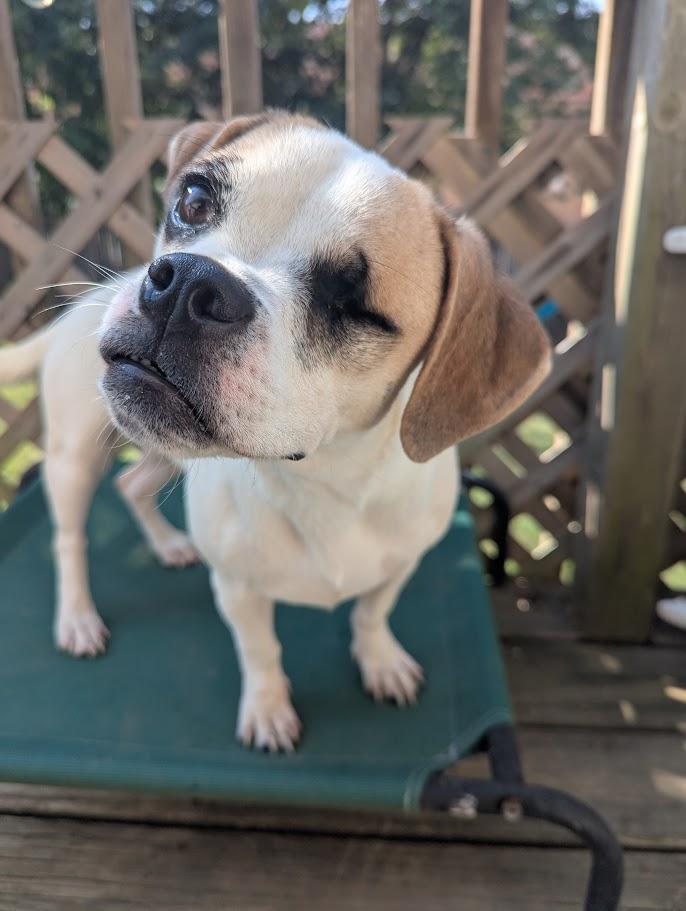 Jeannie *COURTESY POST*