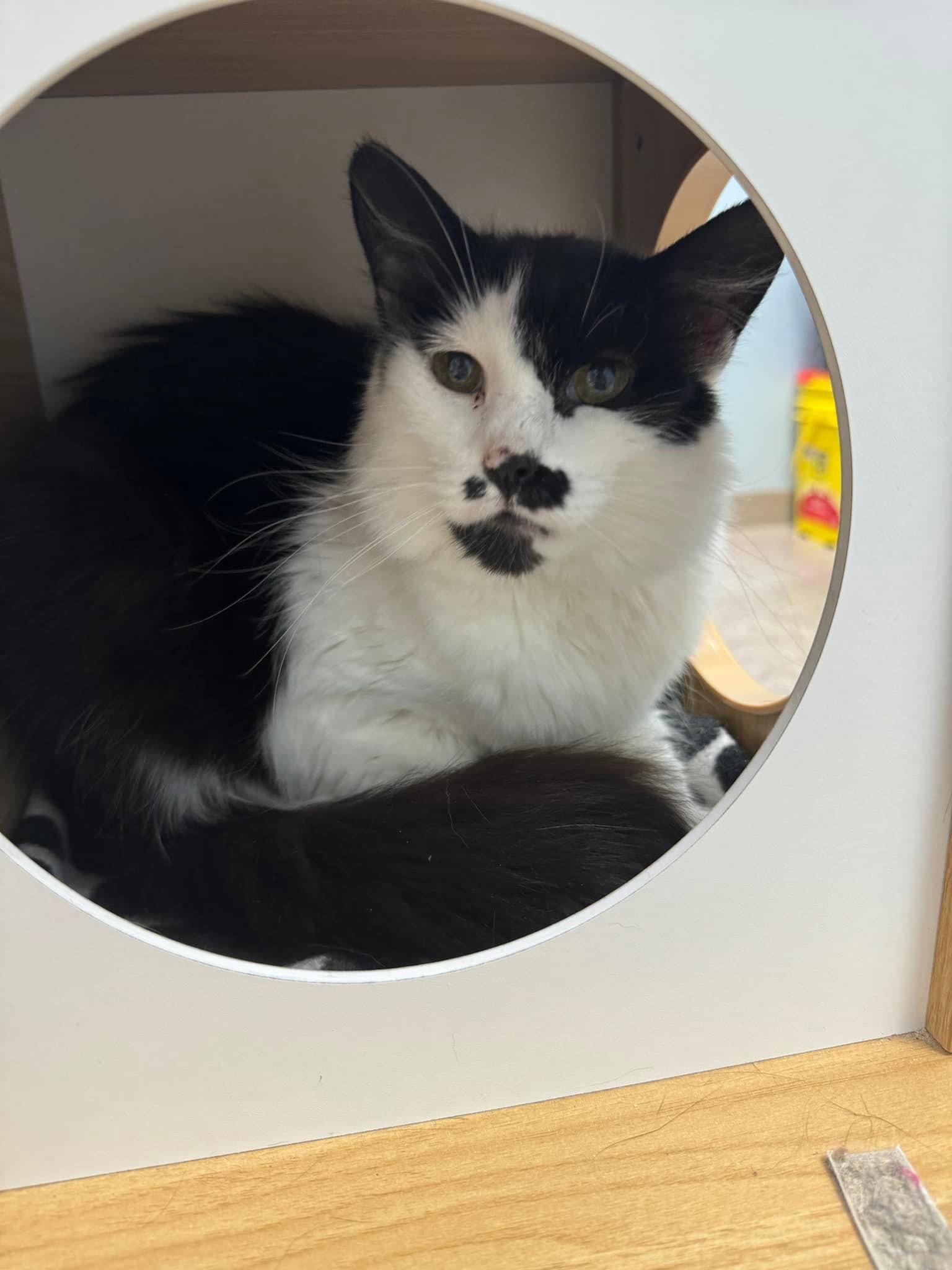 Chumlette