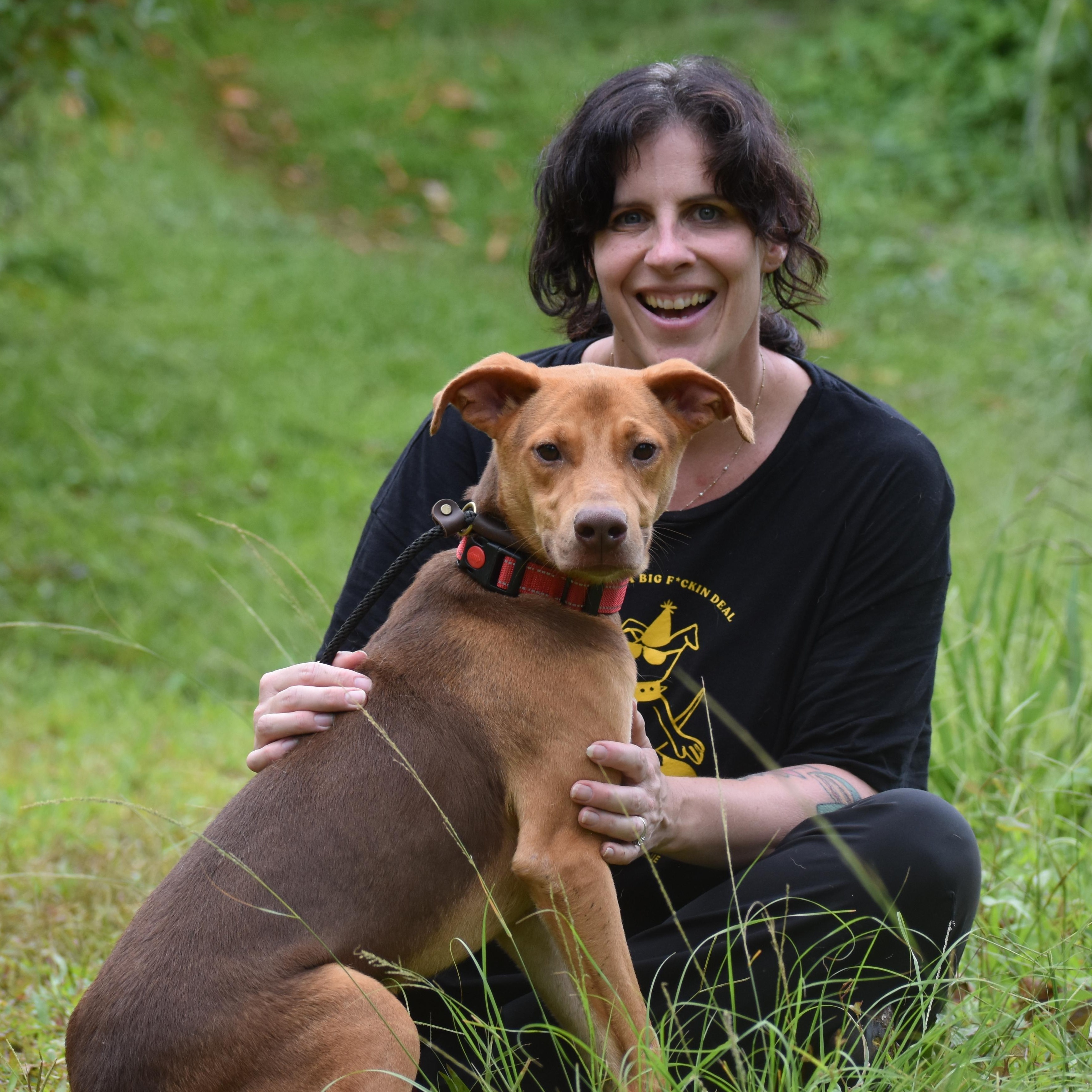 Jaco Parrot, a ADOPTABLE Pit Bull Terrier in Brooklyn, NY image 3/4