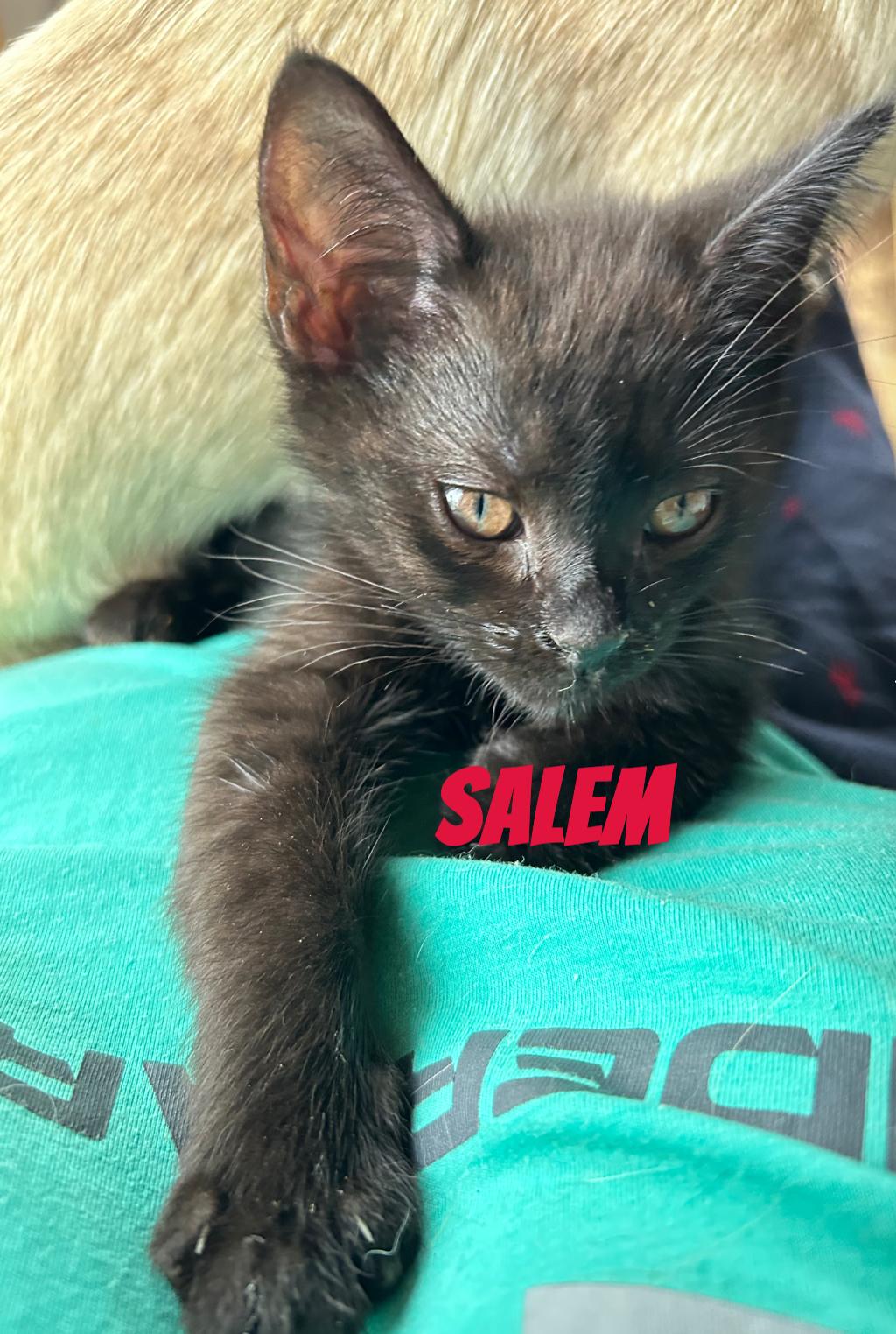 Salem