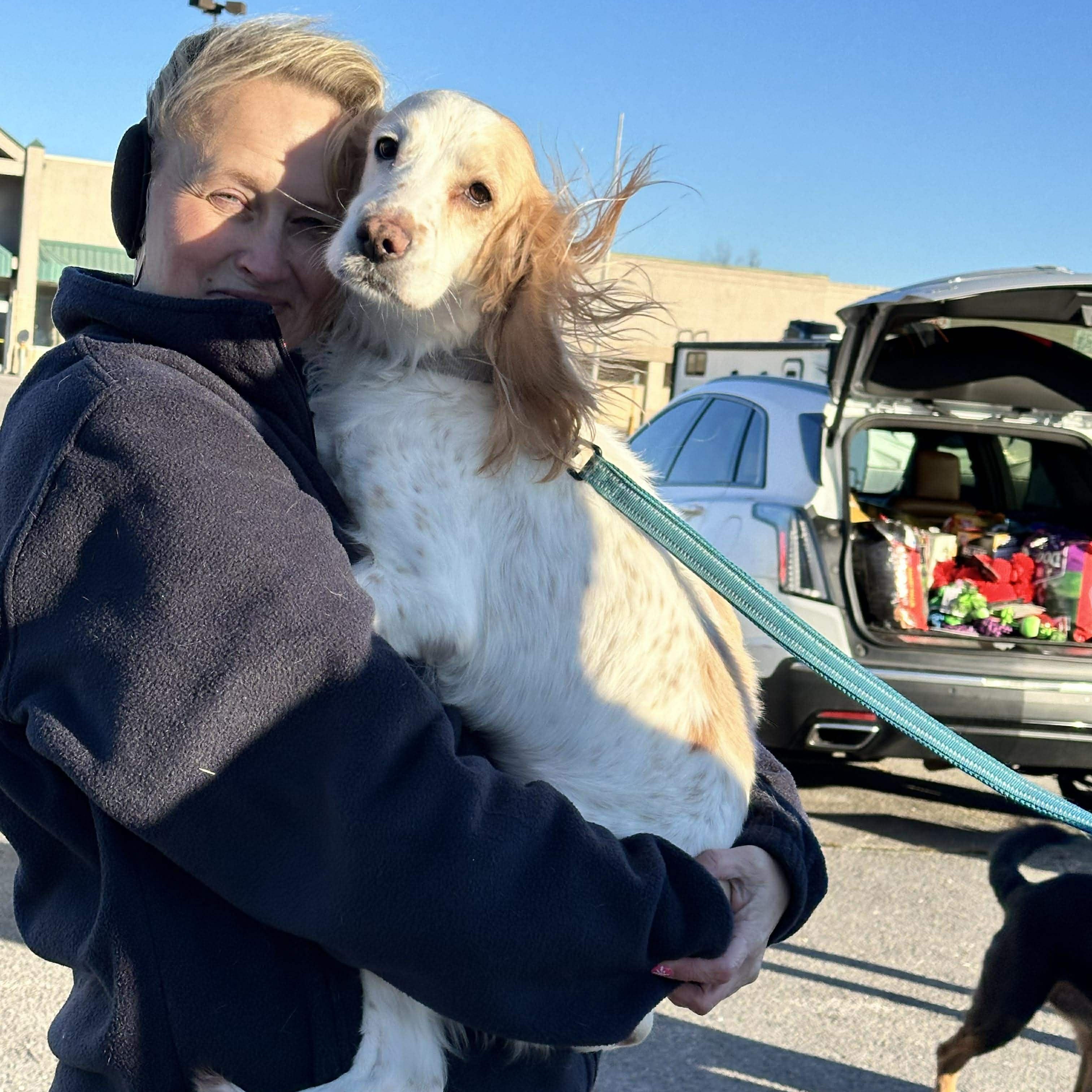 Enlarge Penny, an adoptable mixed breed in Hopkinton, MA image 2/6