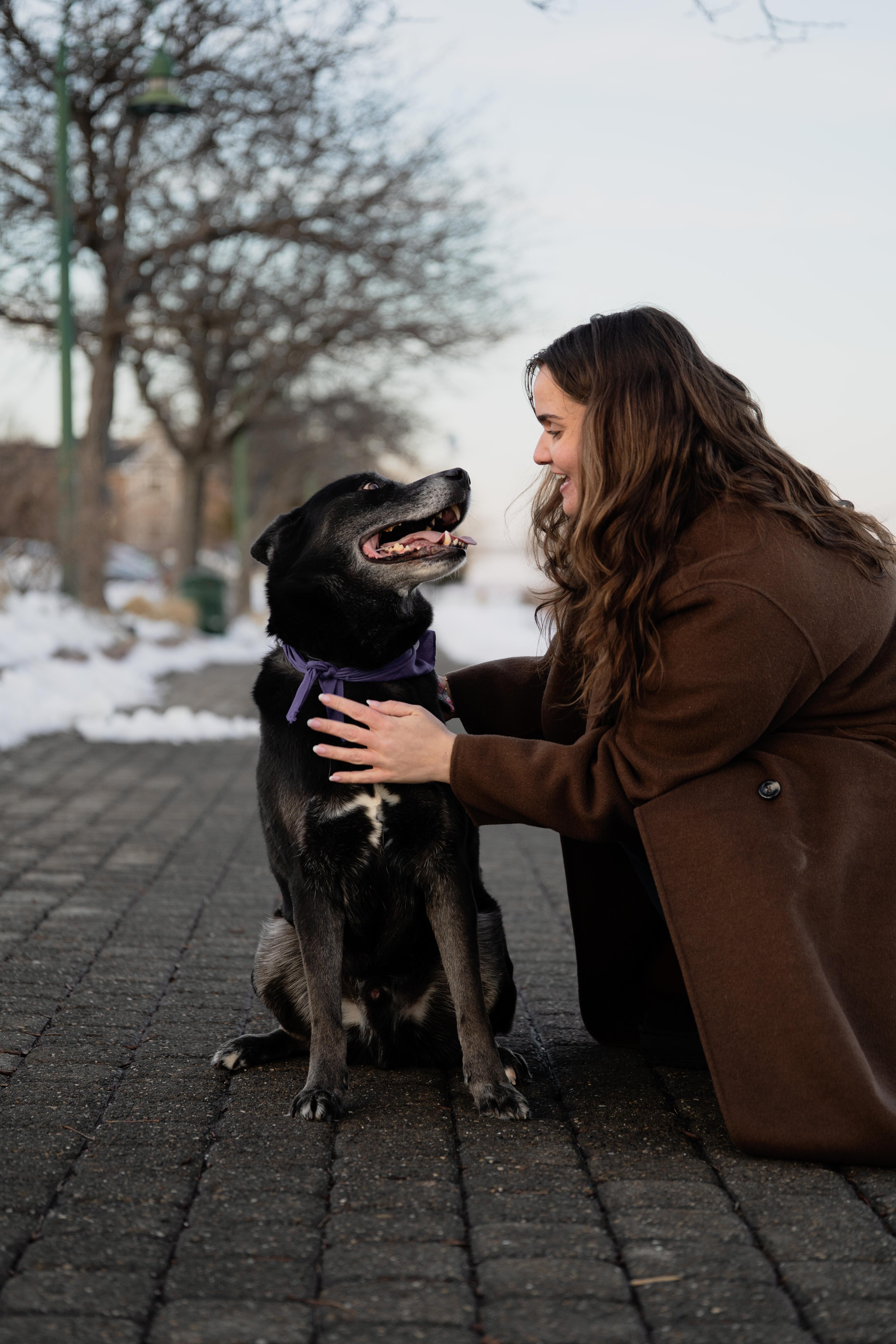Enlarge Ollie, a ADOPTABLE mixed breed in Edgewater, NJ image 3/5