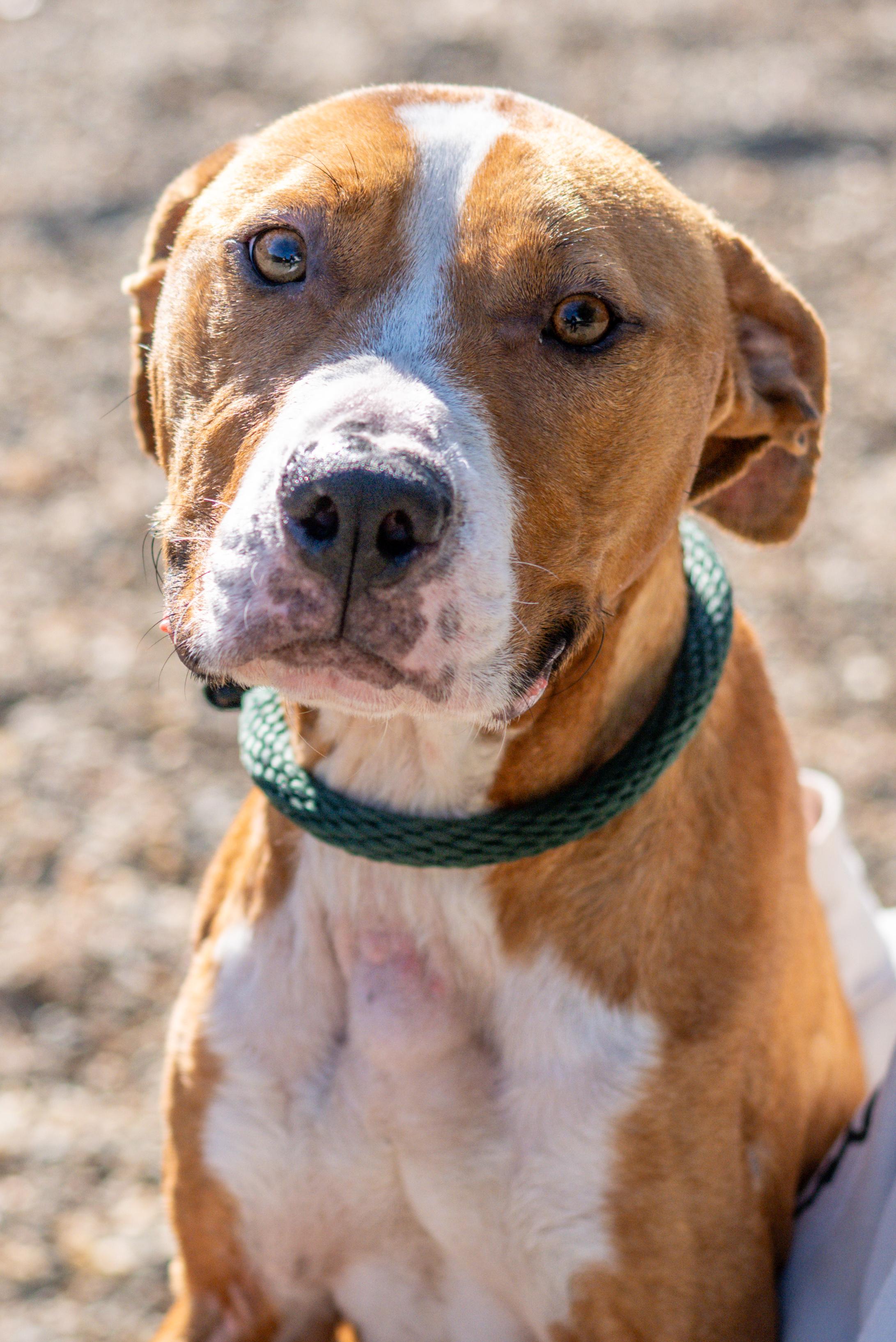 Jeff — thumbnail 2