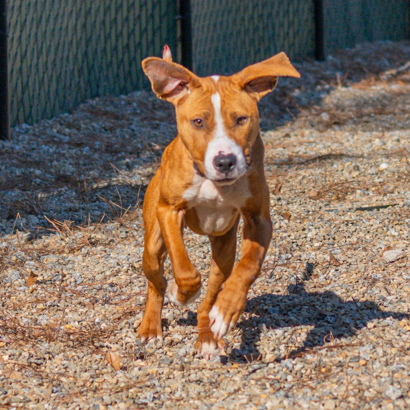 Jeff — thumbnail 3