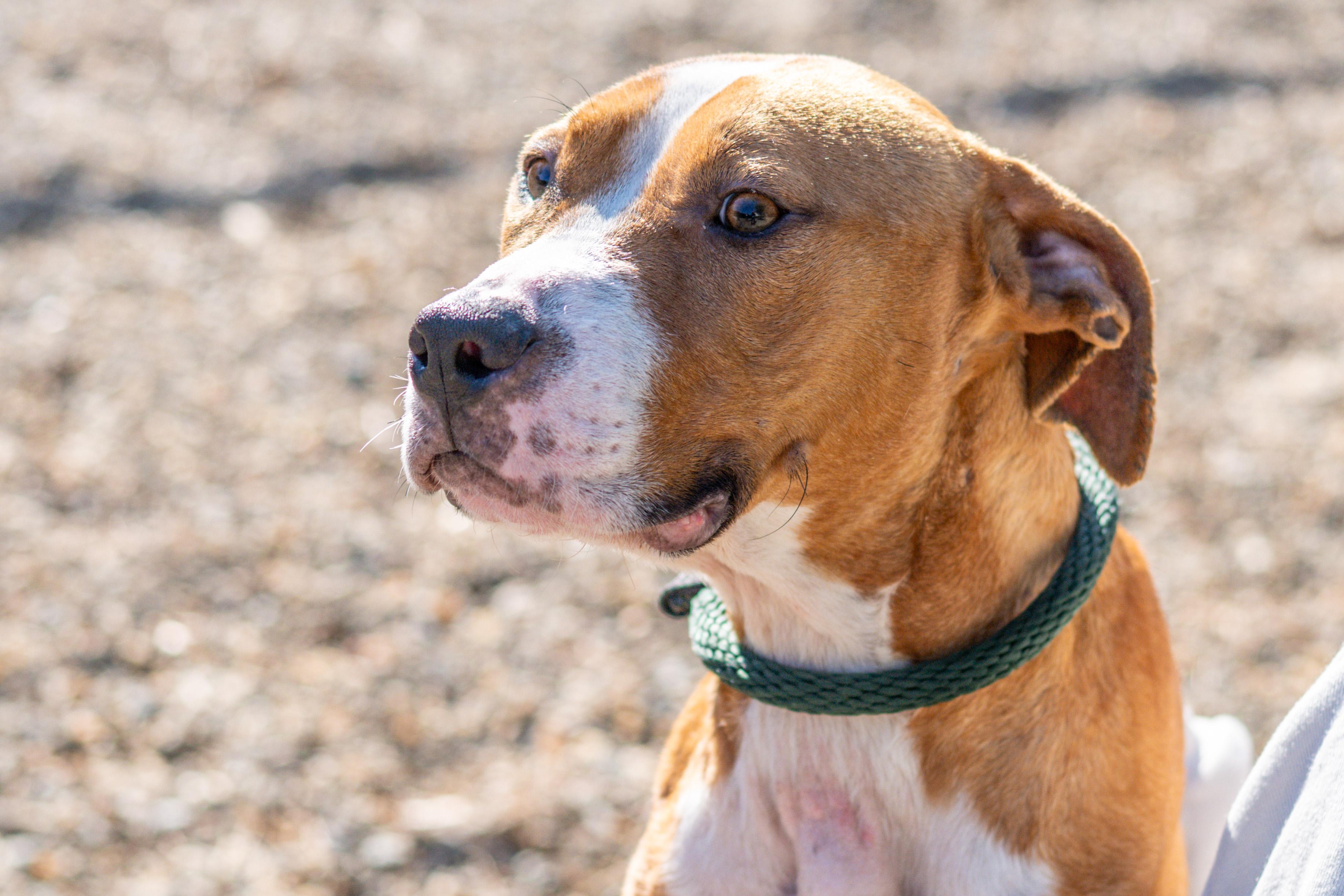 Jeff — thumbnail 4