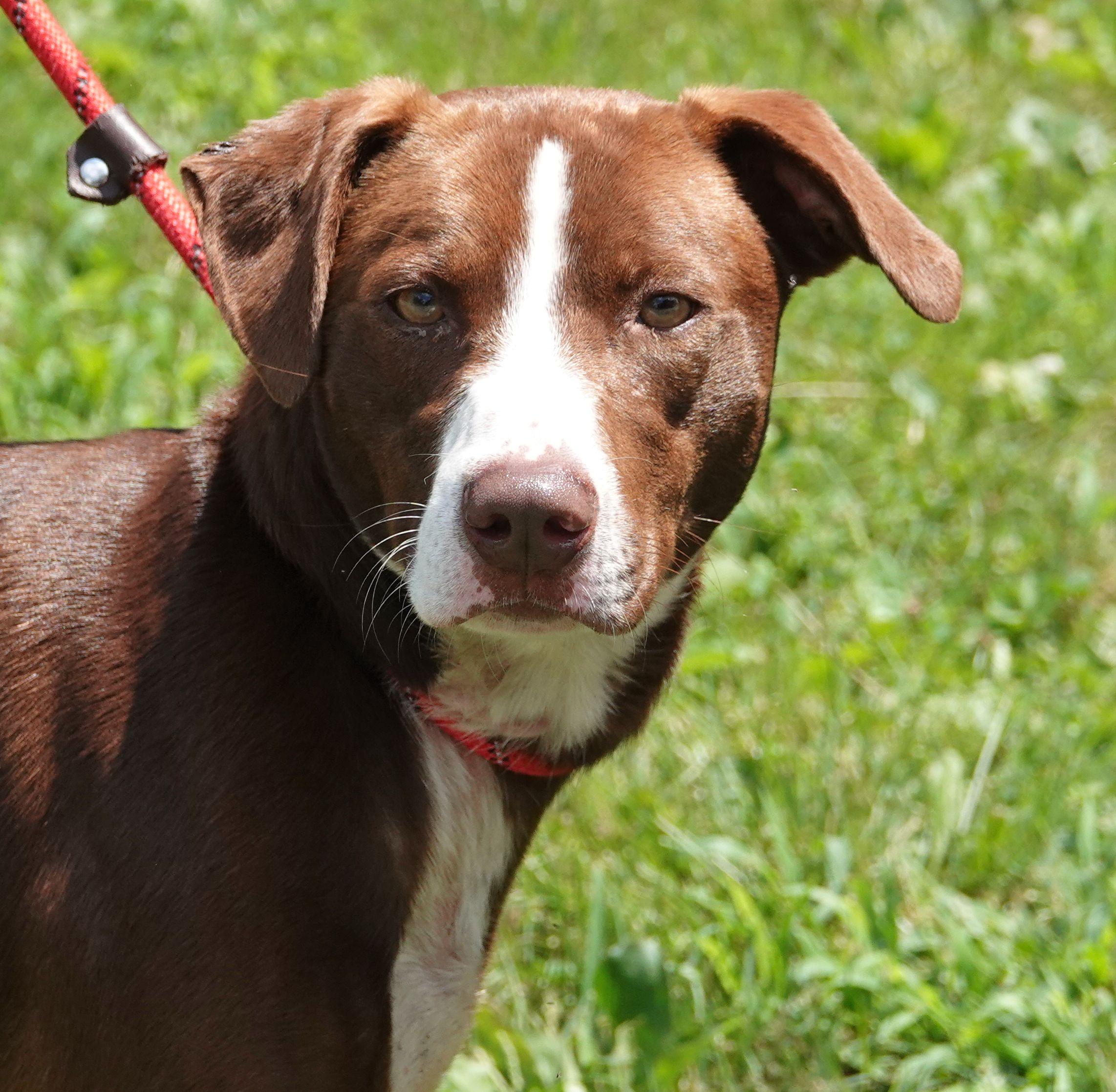 Murphy, Young Male unknown