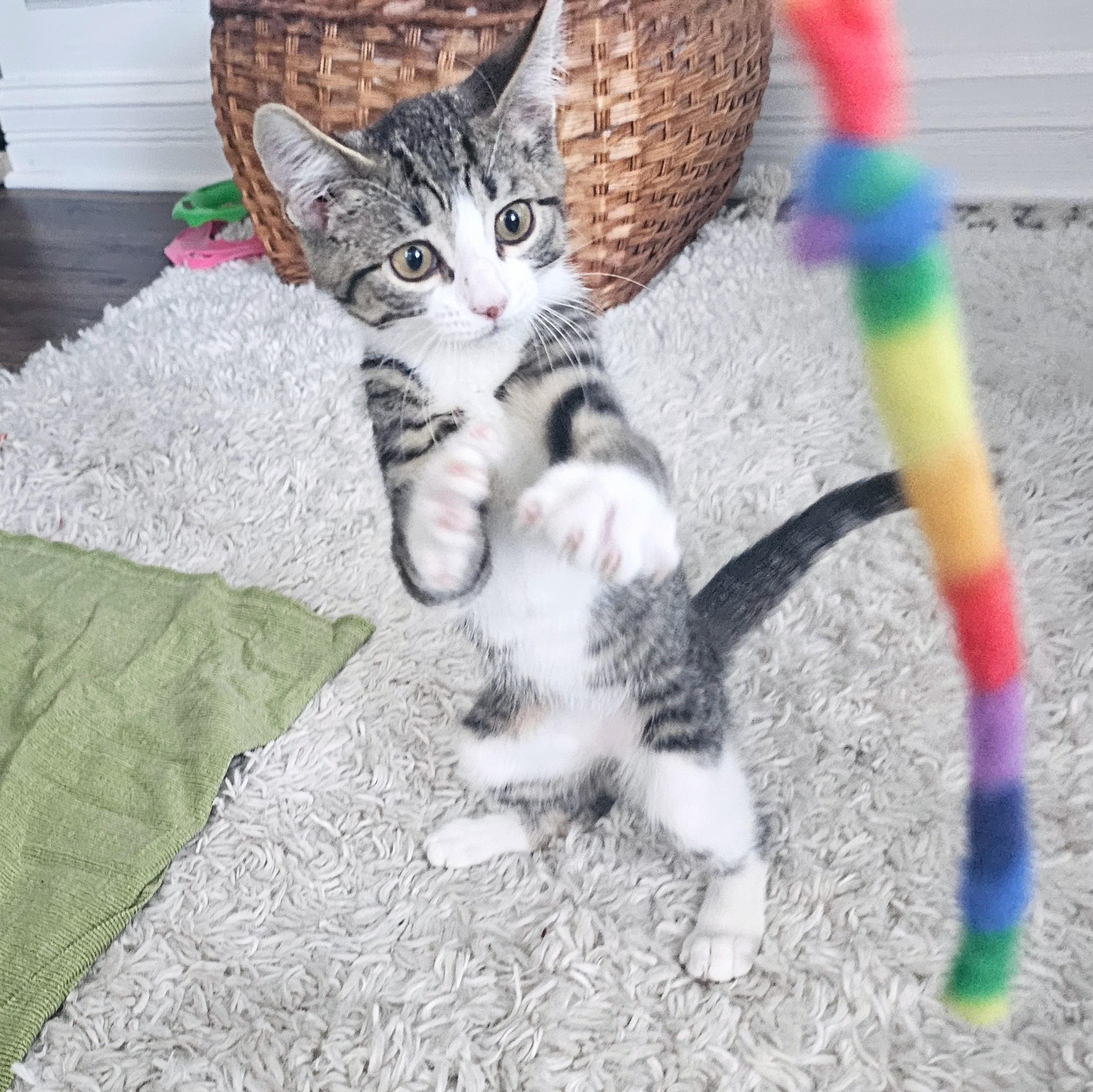 Lulu