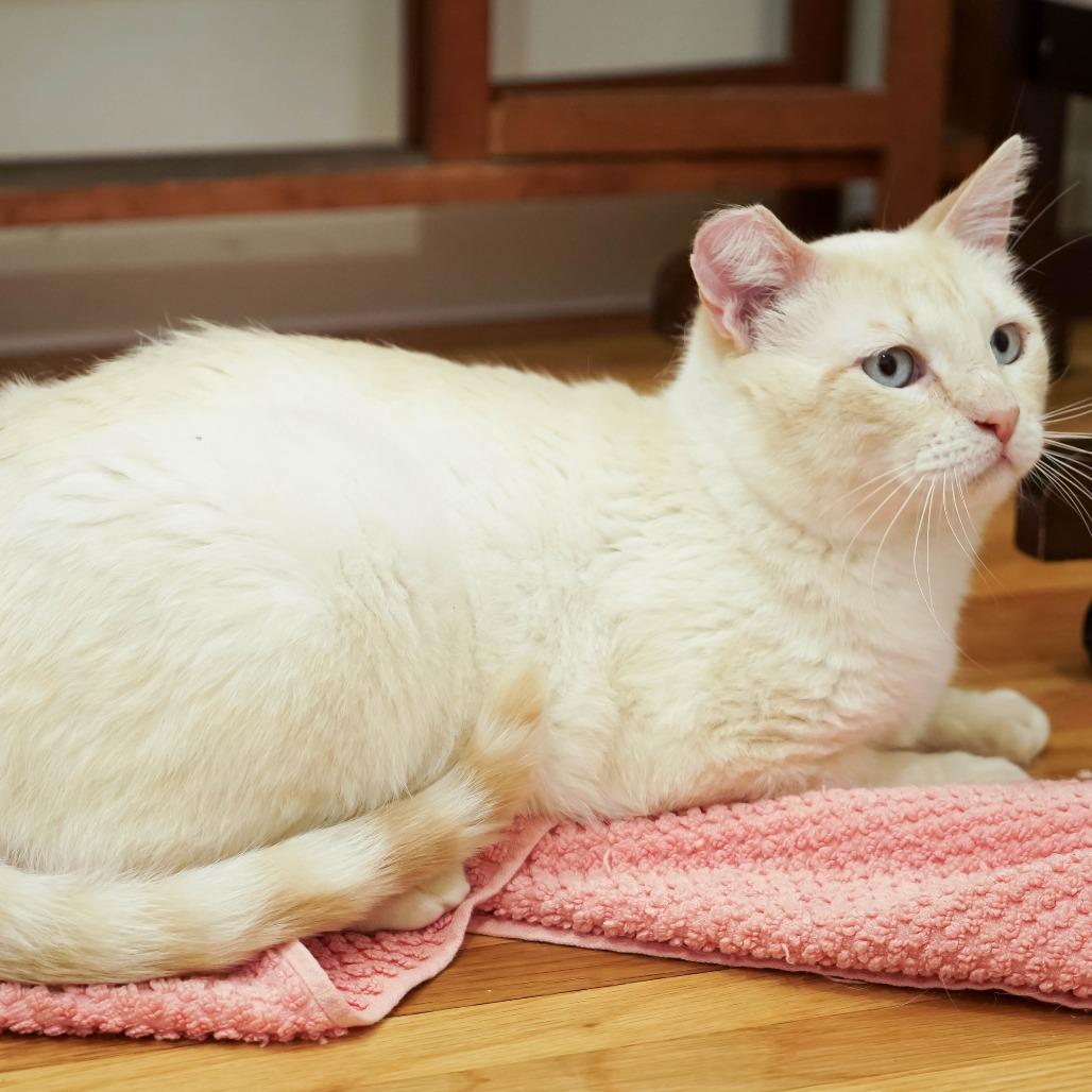 Butters — thumbnail 4