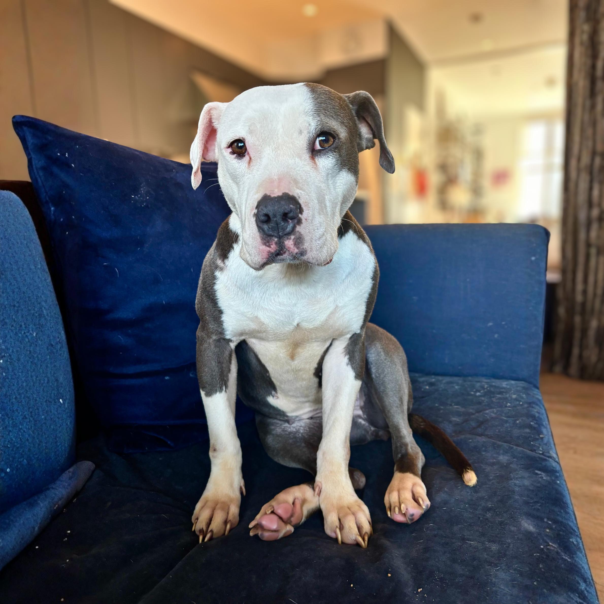 Band Tee — thumbnail 3