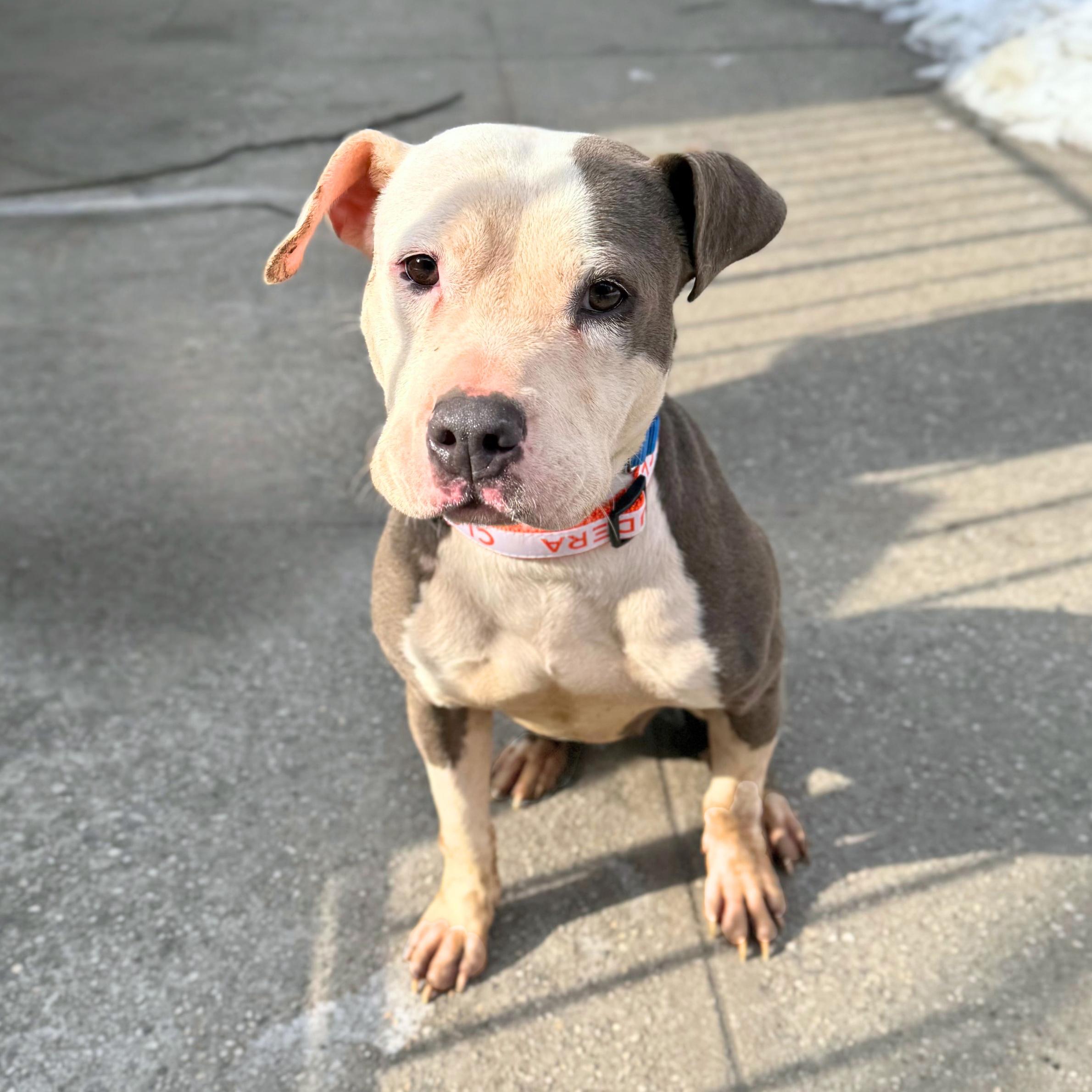 Band Tee — thumbnail 4