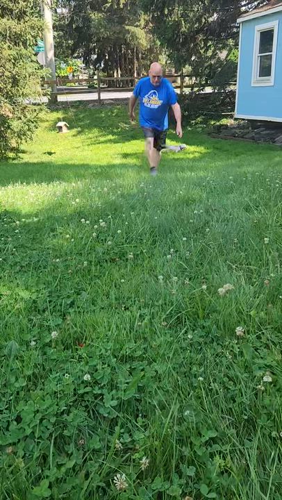 Enlarge Sage in Wilmington, Delaware, a ADOPTABLE Havanese in Wilmington, DE video 5/5