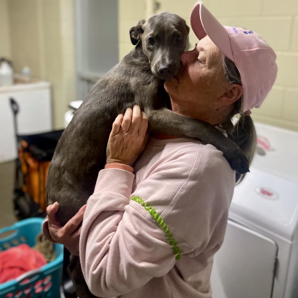 Enlarge Sage / Rose, a Adoptable Mixed Breed in Hamilton, GA image 3/6