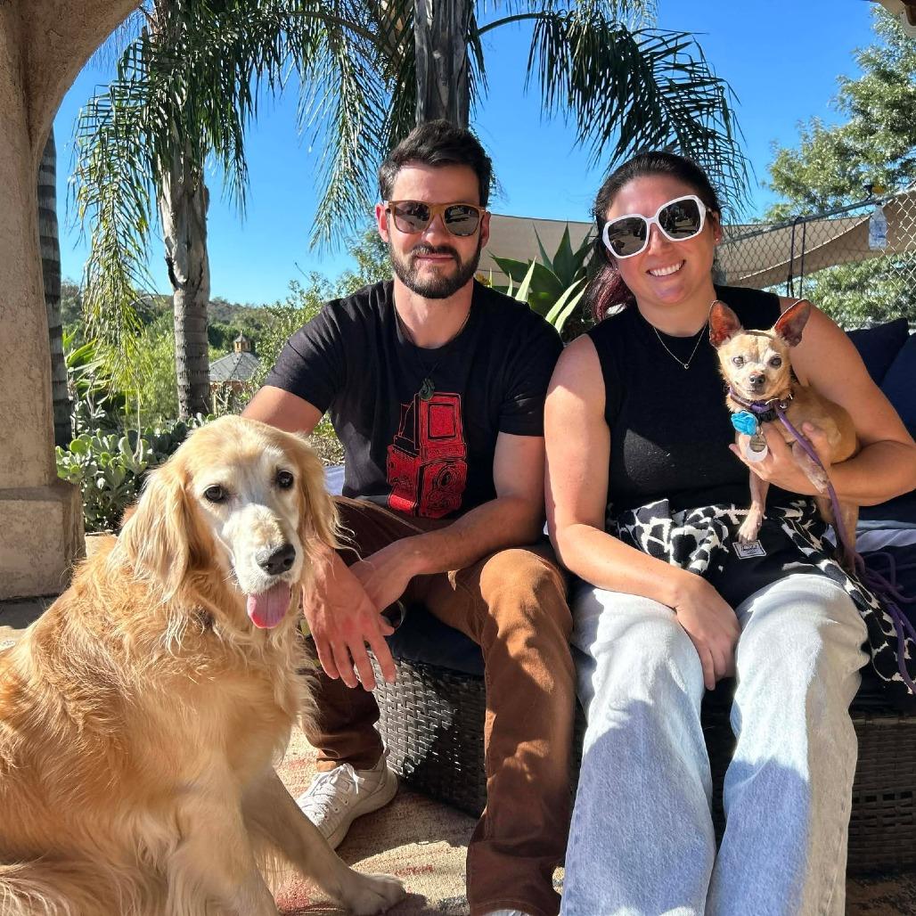 Nina Sardina, a Adoptable Chihuahua in Silver Spring, MD image 3/3