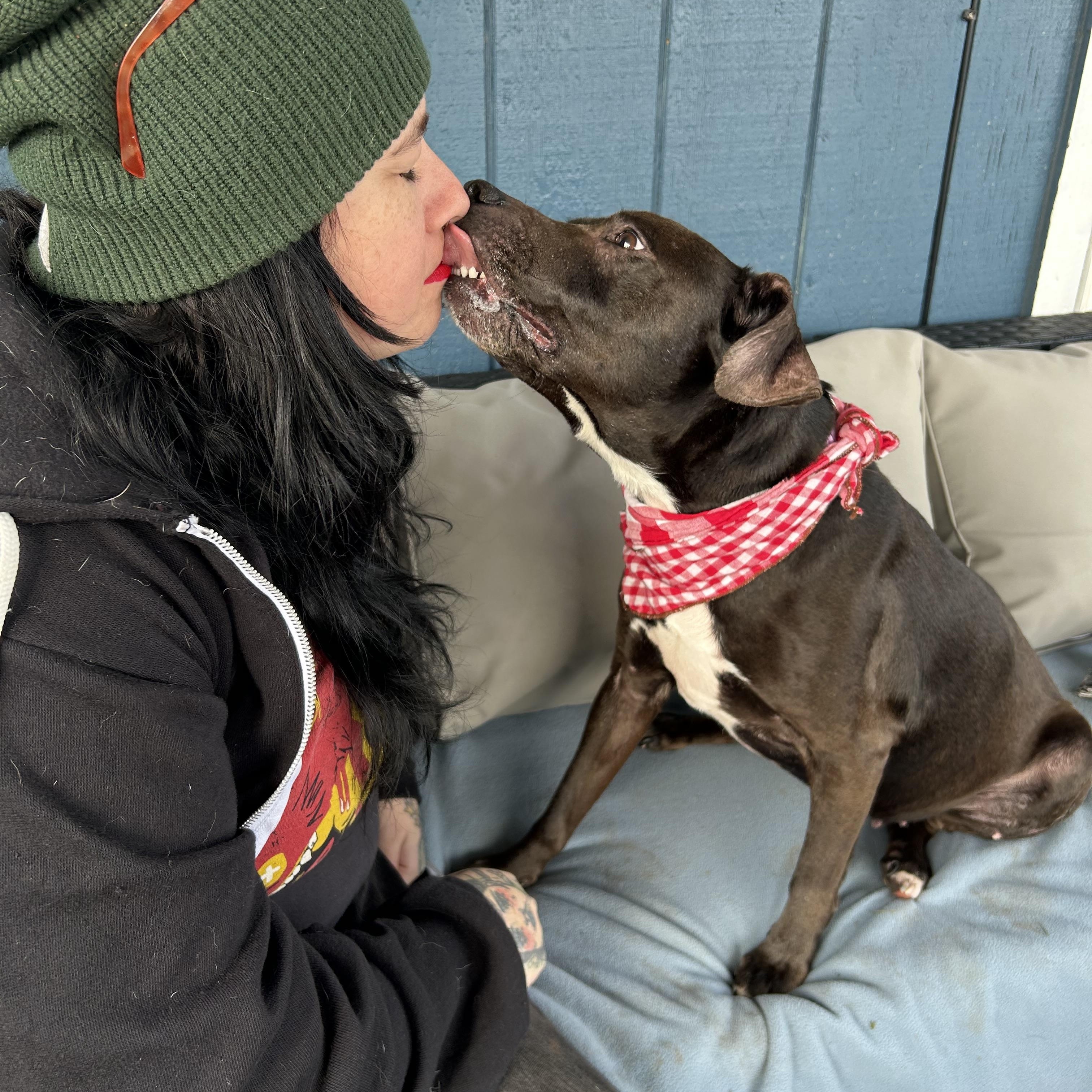 Enlarge Sage, a Adoptable mixed breed in Port Angeles, WA image 4/6