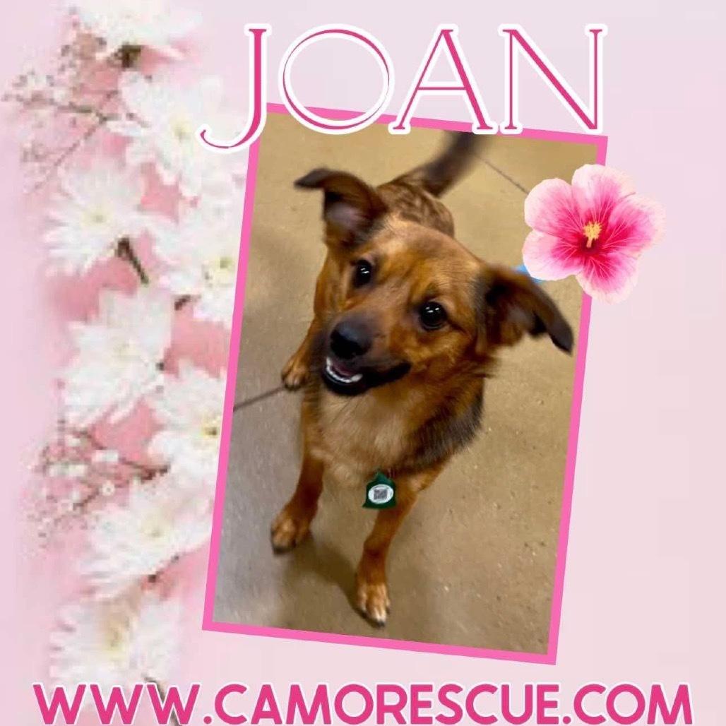 Joan (Dallas) 2
