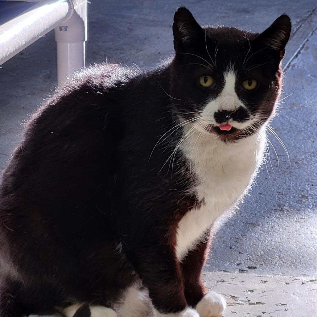 Bones — thumbnail 2