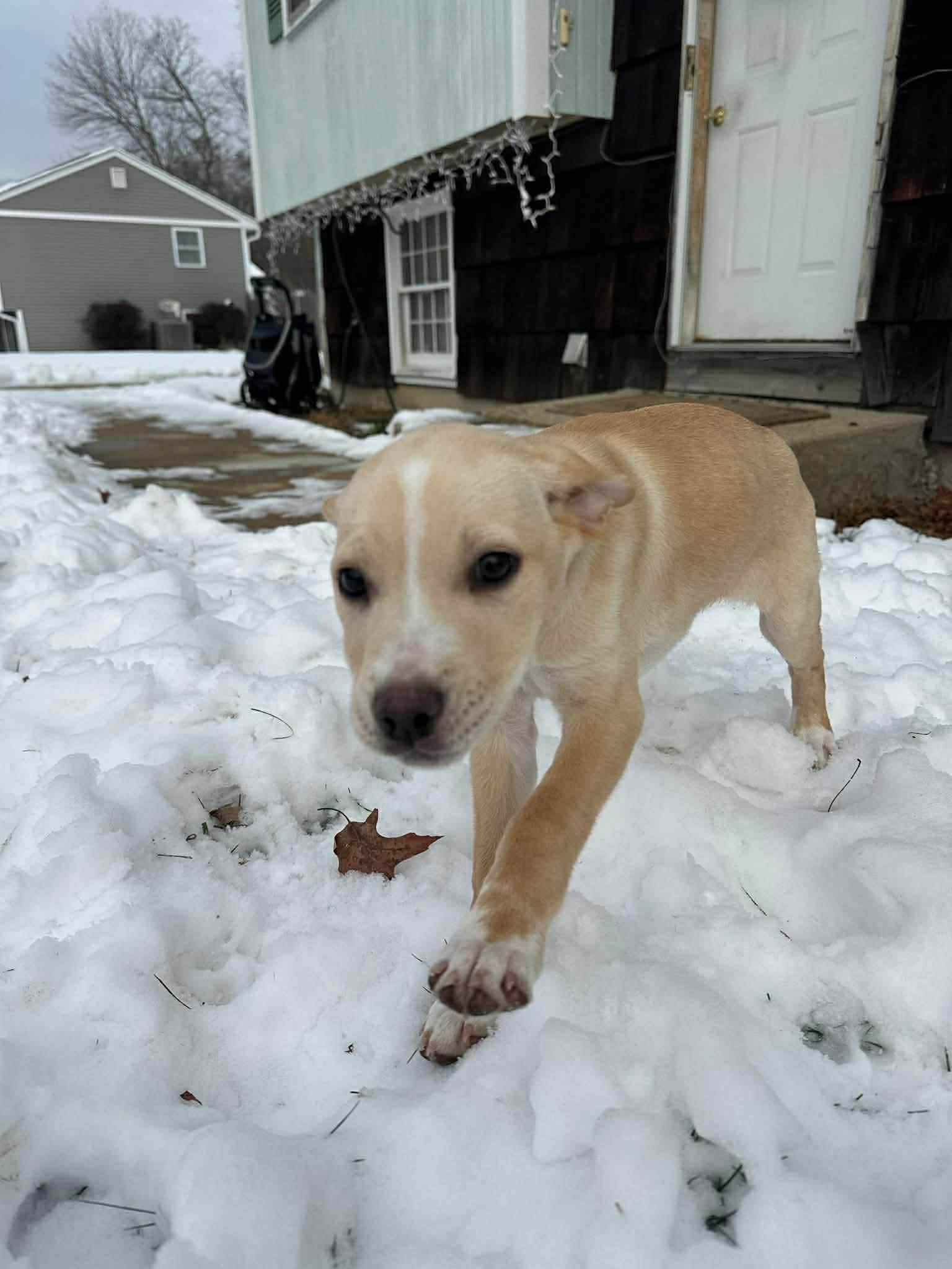 Daisy  Mae thumbnail 2