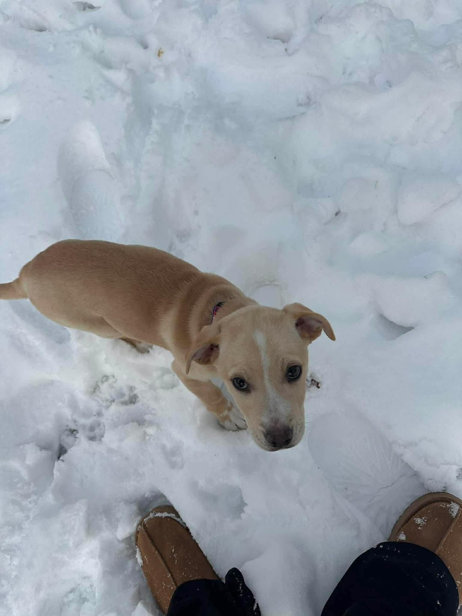 Daisy  Mae thumbnail 3