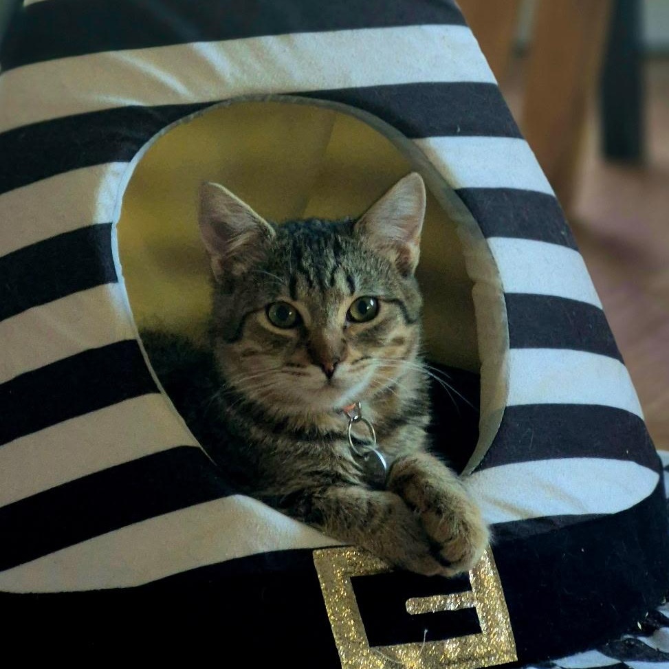 Embers — thumbnail 2