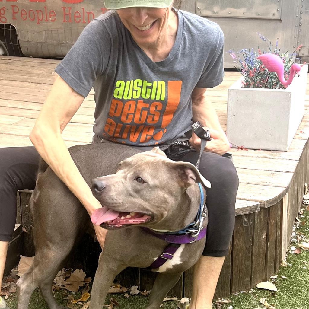 Turtally Awesome — thumbnail 5